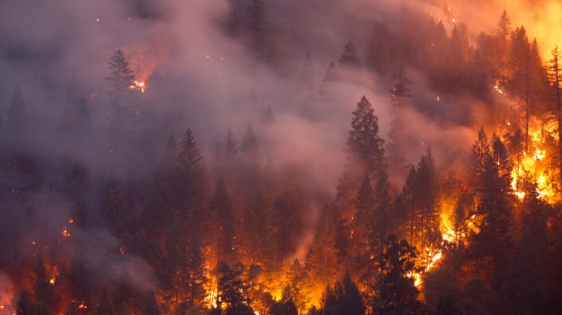 Огромен горски пожар край Солун, евакуират туристи от хотел