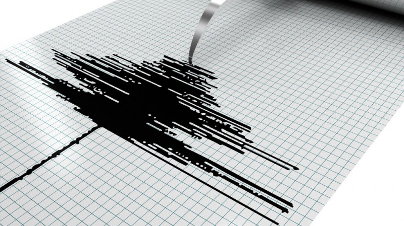 Земетресение от 6 по Рихтер разтърси Русия