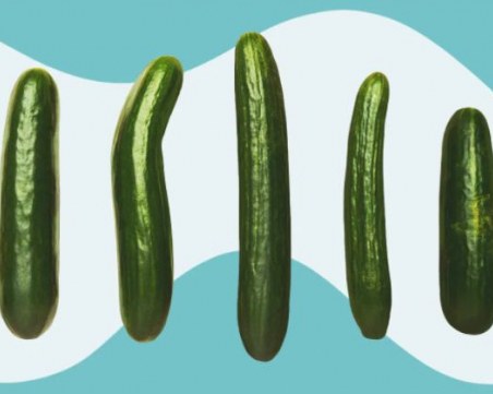 Само за мъже: Типовете пениси и как те подлудяват дамите