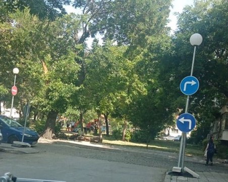 Наляво или надясно? Загадка със знаци предизвика недоумение в пловдивчани