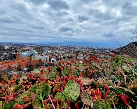 Слънчево и топло днес, живакът пак ще достигне 35 градуса