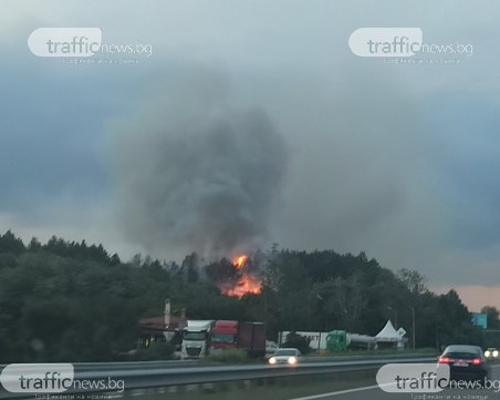 Пожар гори в близост до АМ 
