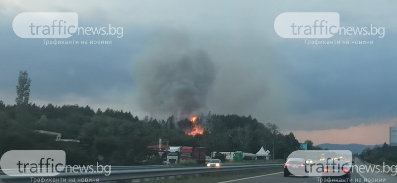 Пожар гори в близост до АМ 