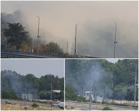 Гневни пловдивчани след поредното палене на сметище в Кършияка: Докога ще дишаме отрова?
