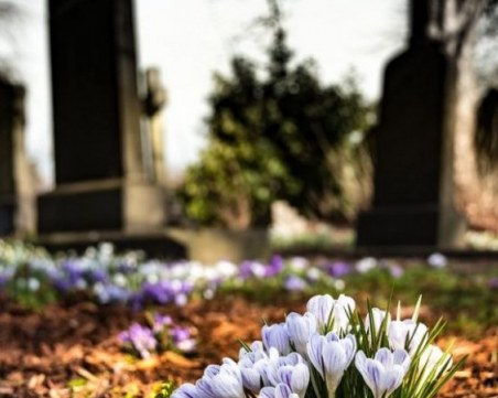 Пловдив и областта в топ 5 за най-сериозно покачване на смъртността за последните 3 месеца