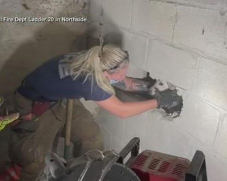 Пожарникари спасиха куче, заклещено в стена