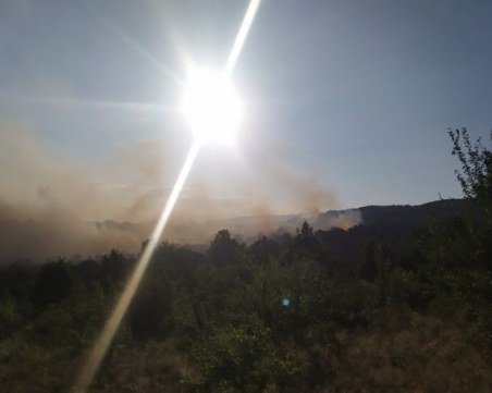 Близо 24 часа пожарникари се борят с пламъците край Хисаря