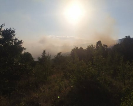 Голям горски пожар в Хисарско! Шест екипа огнеборци гасят пламъците