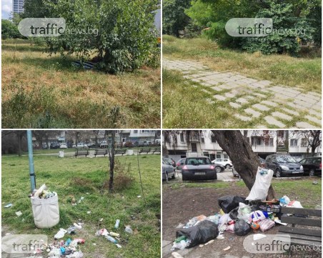 Парк, джунгла или сметище е пространството зад хотел 