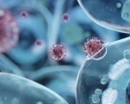 Учени откриха как COVID-19 стига до мозъка