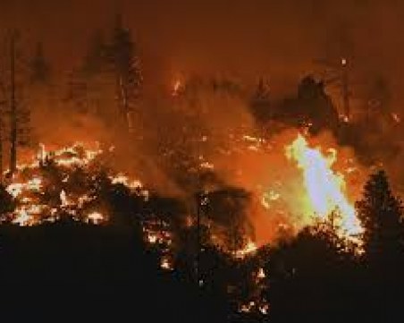 Пожар пламна в Сакар планина