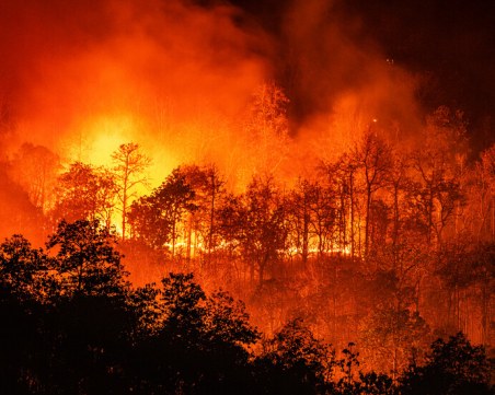 Овладяха пожара в Сакар