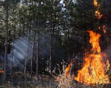 Пожарът в Сакар обхвана 5000 дка