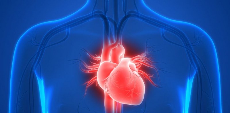 Първата трансплантация на изцяло изкуствено сърце беше извършена в Европа