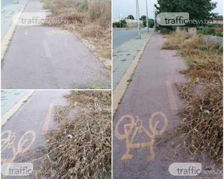 Велоалеите в Пловдив - здравословни и безопасни? Дали, ама надали!