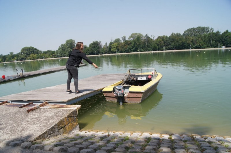 3000 риби се грижат за чистотата на Гребния канал в Пловдив