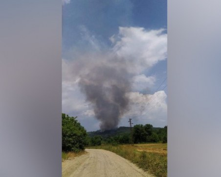 Гръмотевица подпали борова гора край Стара Загора