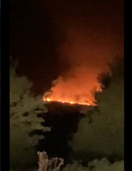 8 екипа огнеборци гасят пожар край Хасково
