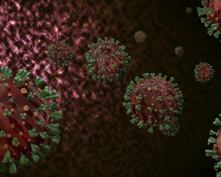 За да си защитен от Делта ти трябва висок брой на антитела, в сравнение с другите щамове