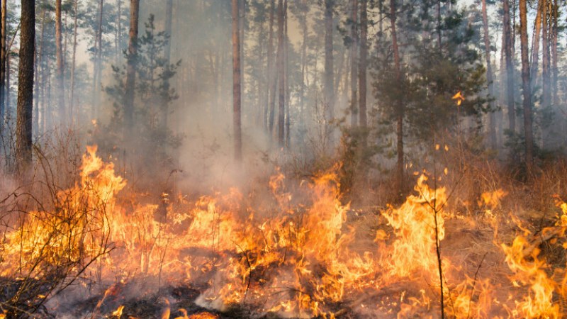 Разраства се огънят край хасковското село Брягово
