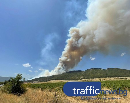 Масивен пожар обхвана карловска гора, мобилизират пловдивски огнеборци
