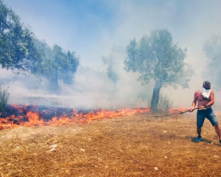 За последните 24 часа в Гърция са избухнали 60 пожара