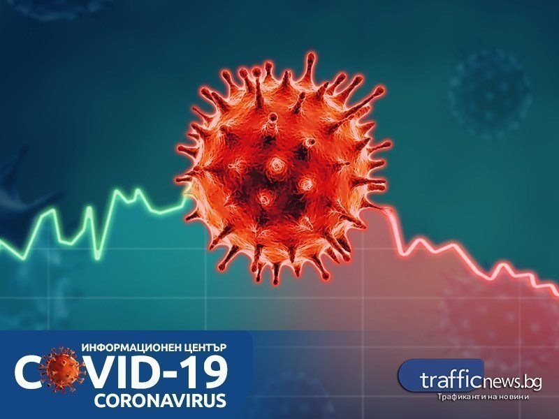 COVID кризата в цифри: 393 новозаразени у нас, в Пловдив - 39