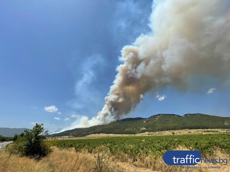 Масивен пожар обхвана карловска гора, мобилизират пловдивски огнеборци