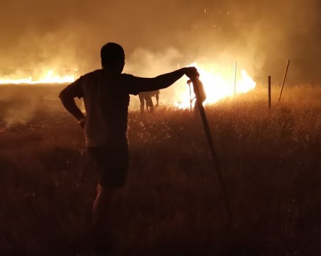 Кметът на община 