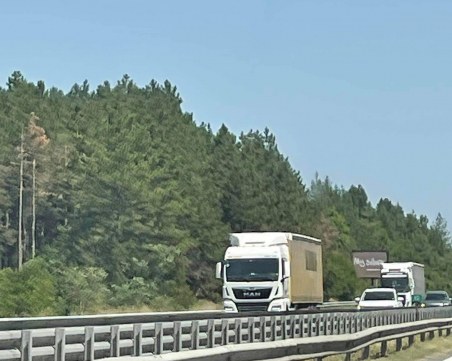 Въпреки жегите: Ограничения за движение на тировете това лято няма да има