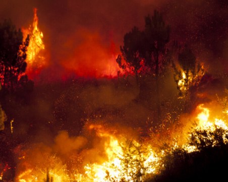 България изпраща помощ на Северна Македония за справяне с пожарите