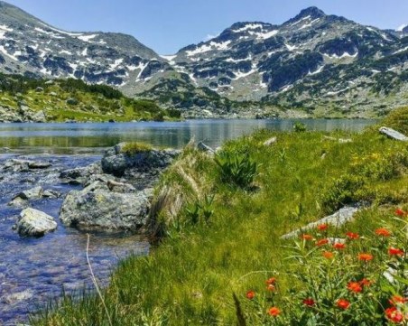 Забраниха влизането на автомобили в Национален парк 