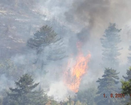 Обявиха частично бедствено положение в община Велинград