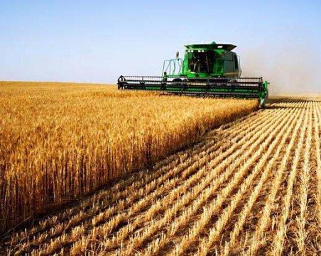 Официално: До 20 август се забранява поддържането на затревените площи и обработваемите земи