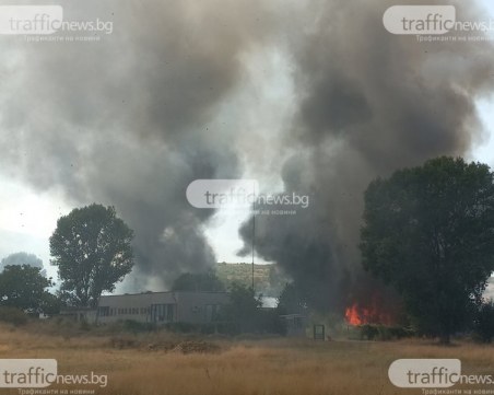 Стефан Янев: Ако ситуацията с пожарите в България стане по-тревожна, ще искаме помощ от друга държава