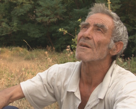 Свидетел на трагедията в пожара край Петрово: Те бягаха, но огънят буквално ги прегърна