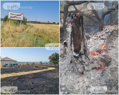 Жители на Кръстевич след пожара: Нямаше с какво да гасим огъня, пламъци заплашваха домовете ни
