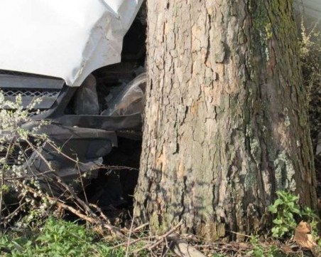 Мерцедес се заби в дърво край Пловдив, двама младежи са в болница