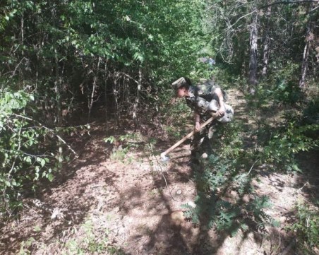 Голям пожар край хисарското село Михилци, военни се включиха в гасенето