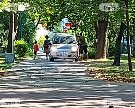 Мъж нагази с колата си в пловдивски парк