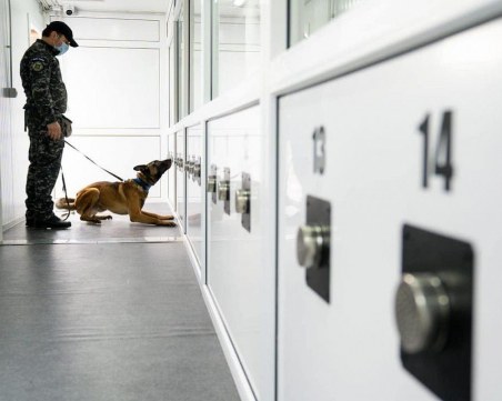 Куче засече заразен с COVID-19 на летище в Румъния