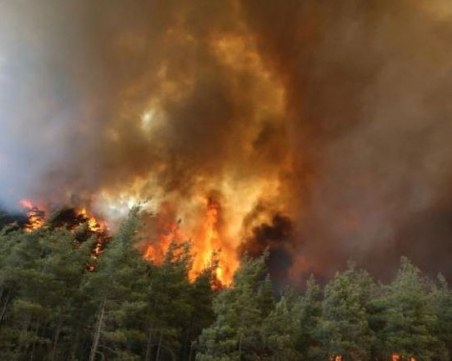 Локализираха пожар в Рила