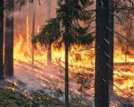 Пожарите в Русия заплашват Федерален ядрен център