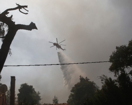 Самолет за гасене на пожари се разби в Гърция