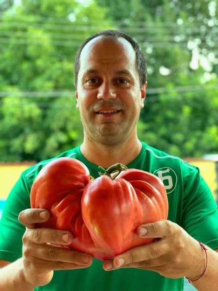 Кметът на Враца отгледа гигантски домат, тежи почти 2 кг
