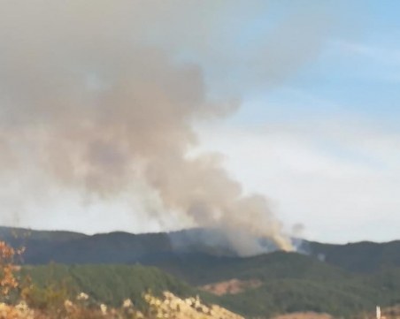 На 90% е овладян пожарът в Рила