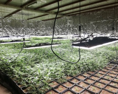 Арест на шестима, отглеждали дрога в свръхмодерна оранжерия