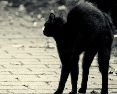 Петък 13-ти е! Без работа и забавления срещу зла прокоба