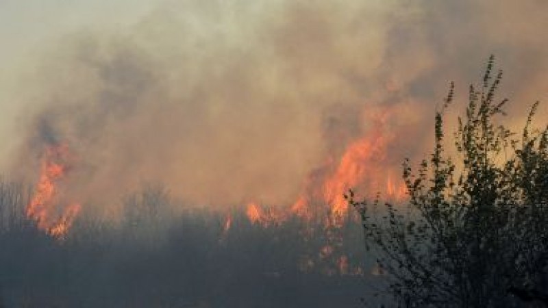 Нов голям пожар край Хисаря! Борбата със стихията е продължила цяла нощ