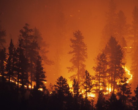 Опасност от пожари в Пловдив и още 17 области на страната утре